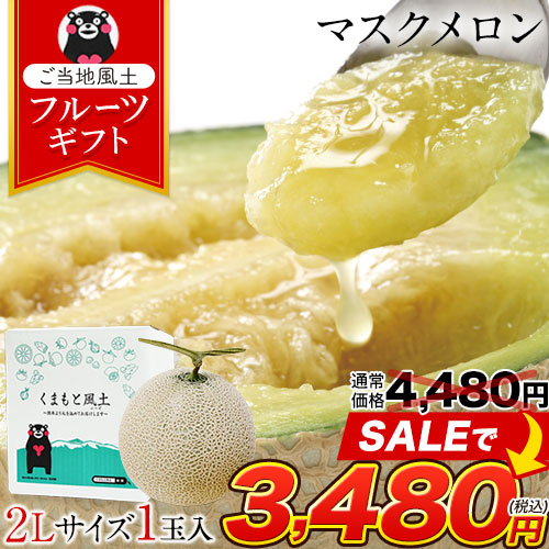九州産 マスクメロン 2Lサイズ 秀品 1玉 約1.2kg 送料無料 熨斗対応 ギフト プレゼント メロン 贈答 フルーツギフト 贈り物  《7-14営業日以内に出荷予定（土日祝除く）》