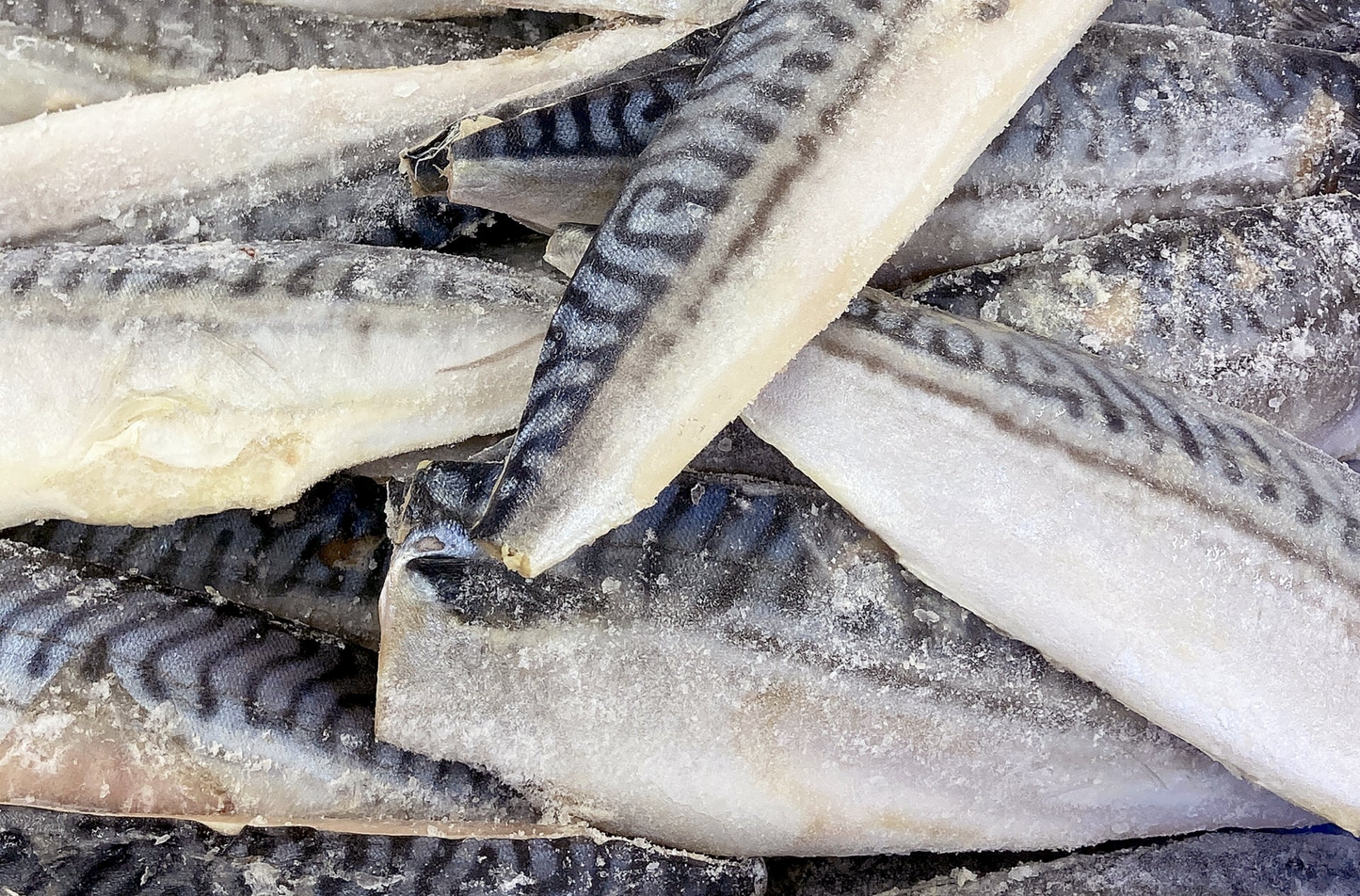 【市場直送！】定番魚バラエティセット 計2kg