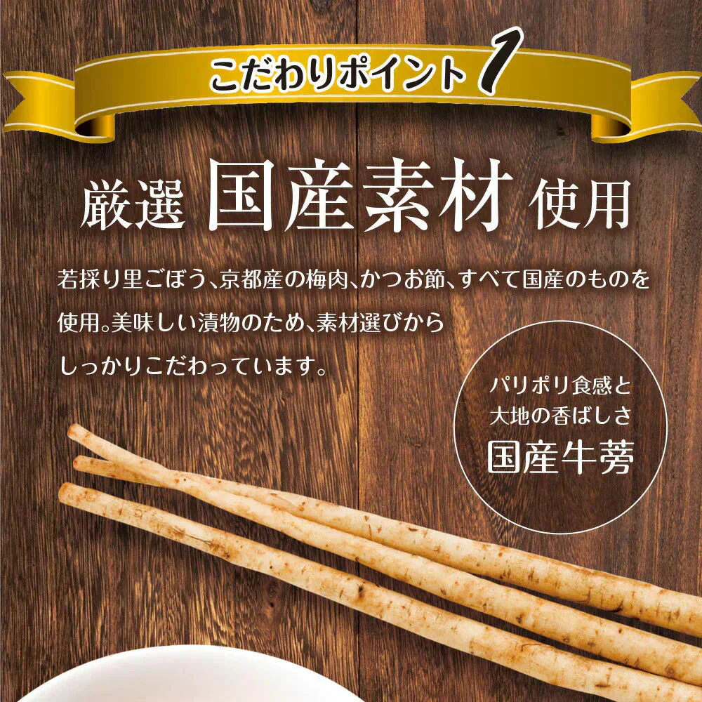 【3個セット】日本橋いなば園 国産 若採りごぼう 梅肉あえ 120g メール便 送料無料