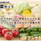 野菜セット 九州産 10～12品目 送料無料 お取り寄せ 80サイズ箱 詰め合わせ 【5～10営業日以内出荷(土日祝日除く)】やさい 産地直送 野菜 季節 旬 トマト きゅうり キャベツ かぼちゃ 小松菜 ほうれん草 人参 じゃがいも 玉ねぎ ごぼう ピーマン