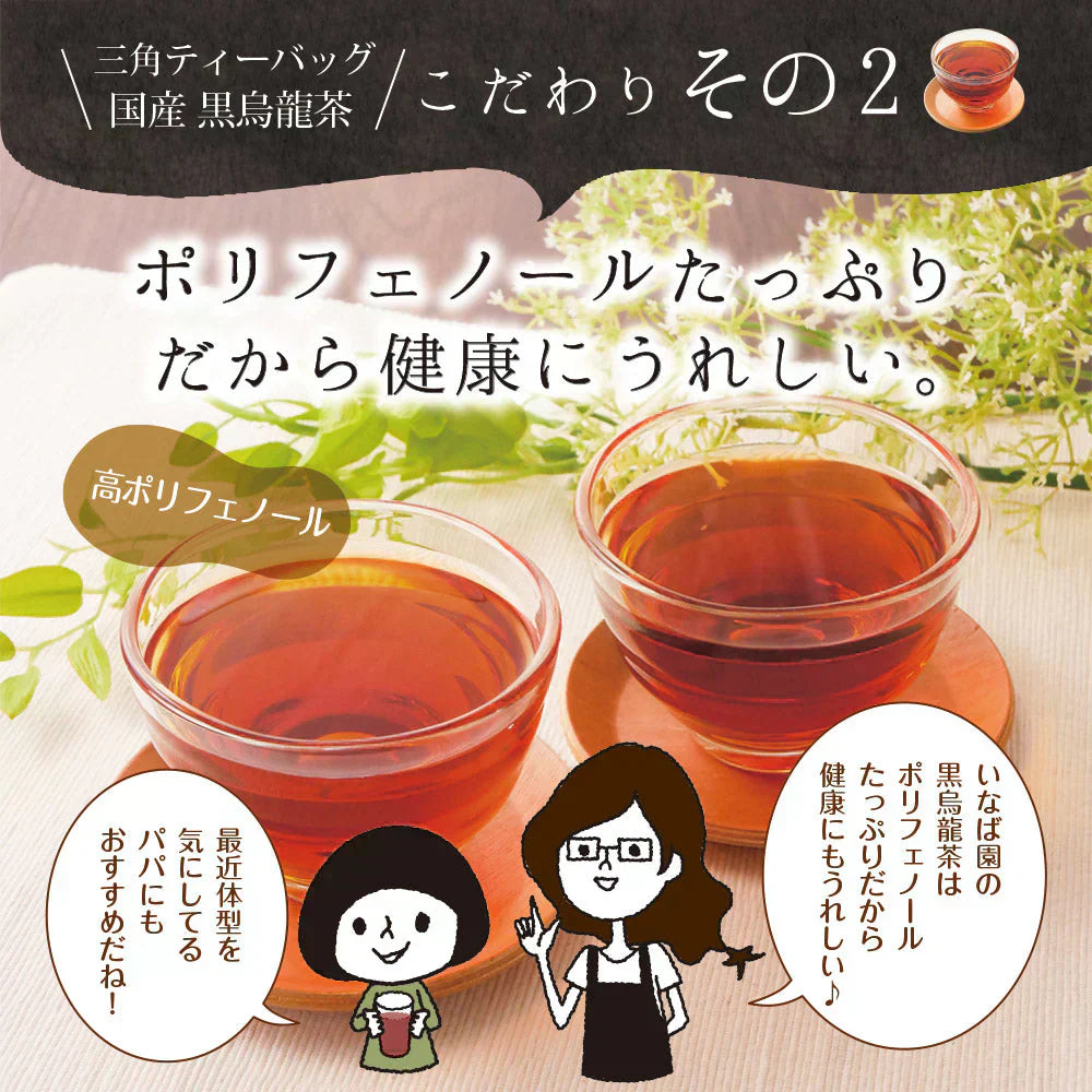 日本橋いなば園 国産黒烏龍茶ティーバッグ 2g×80包 静岡県産 ネコポス メール便送料無料