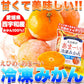 えひめのあまーい 冷凍 みかん どっさり21個(7個入×3袋・約900ー1000g)愛媛県西宇和産みかん100%使用!