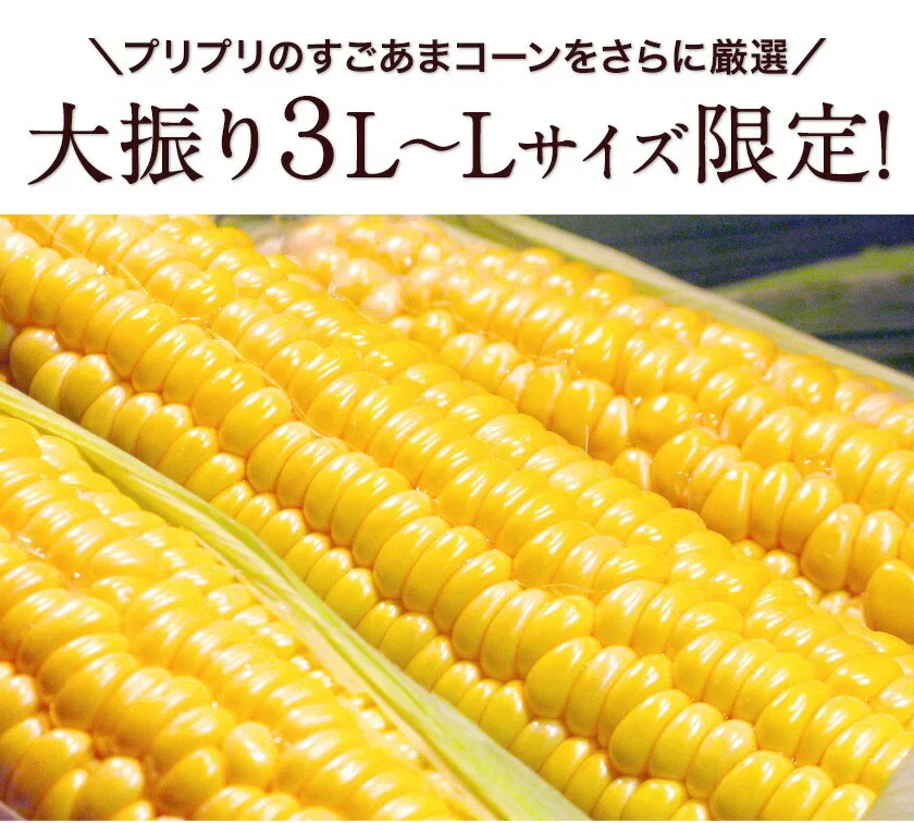 【売り切れ必至】とうもろこし すごあまこーん 7本入 (3L~L サイズ) 卯野農場 セット購入でおまけ付き 朝採り 生で食べられる 約1.8kg～約2.4kg 九州産 高糖度 クール便 送料無料 スイートコーン 《7月上旬～8月上旬頃より発送予定》|