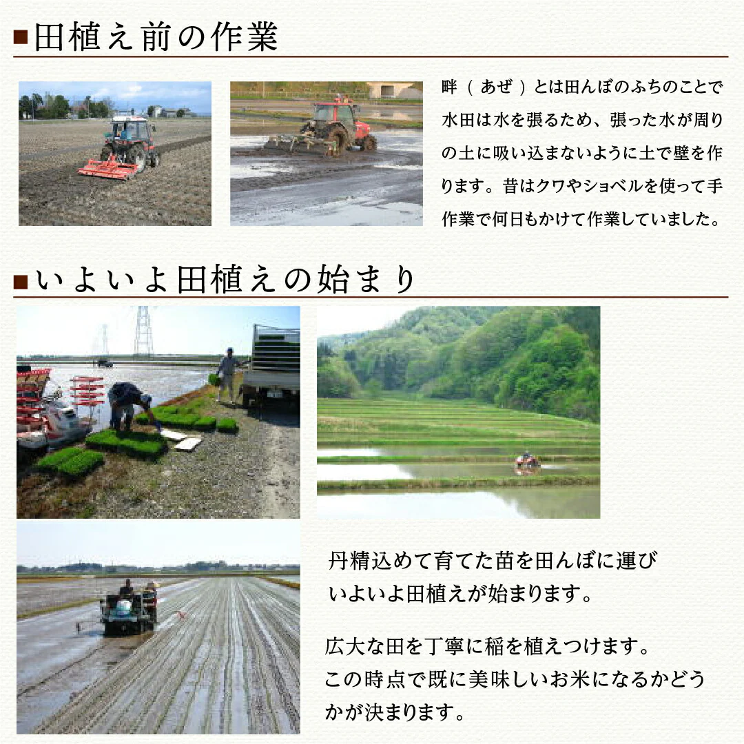 米 精米 新潟県 特別栽培米 こしひかり 20kg (5kg×4) 令和5年産 新米 JA北越後指定 お米 白米 おくさま印 国産 食品 ギフト 引っ越し 挨拶 出産 内祝い お中元 お歳暮 結婚 快気 還暦 香典返し お年賀 送料無料