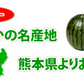 すいか 送料無料 スイカ 訳あり 熊本すいか 1玉 約2.5kg〜4.5kg 小玉サイズ 2S〜M 熊本県産 西瓜 フルーツ