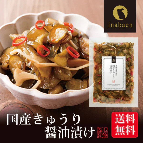 日本橋いなば園 国産きゅうり醤油漬け 100g ネコポス メール便送料無料