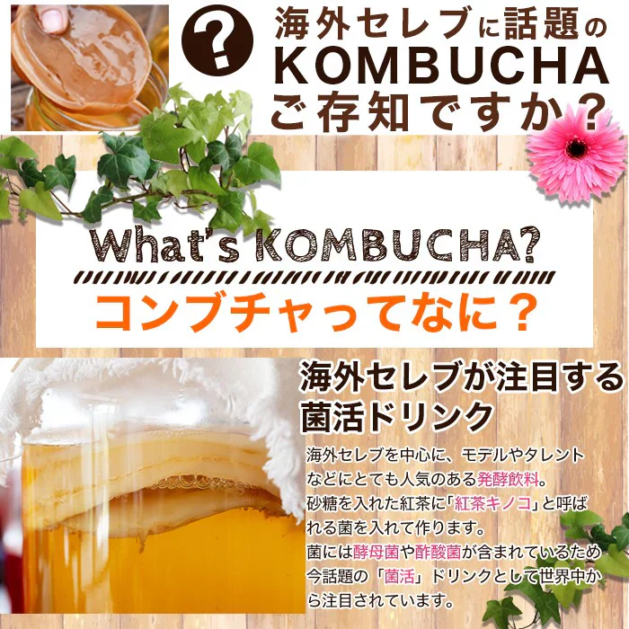 メガ盛り【コンブチャハーバルブレンドティー】海外セレブの間で人気沸騰 ダイエット メガ盛り100包 海外セレブに人気のコンブチャを飲みやすくハーブティーブレンド ルイ ボスティー ローズヒップ 紅茶 キノコ お茶 ハーバル コンブ茶 日本茶 茶 本物のコンブチャを使用 安心安全の国内加工の高品質 みやすい女性に人気ルイボスブレンド KOMBUCHA HERBAL BLEND TEA 健康茶 ダイエットティー ダイエット紅茶