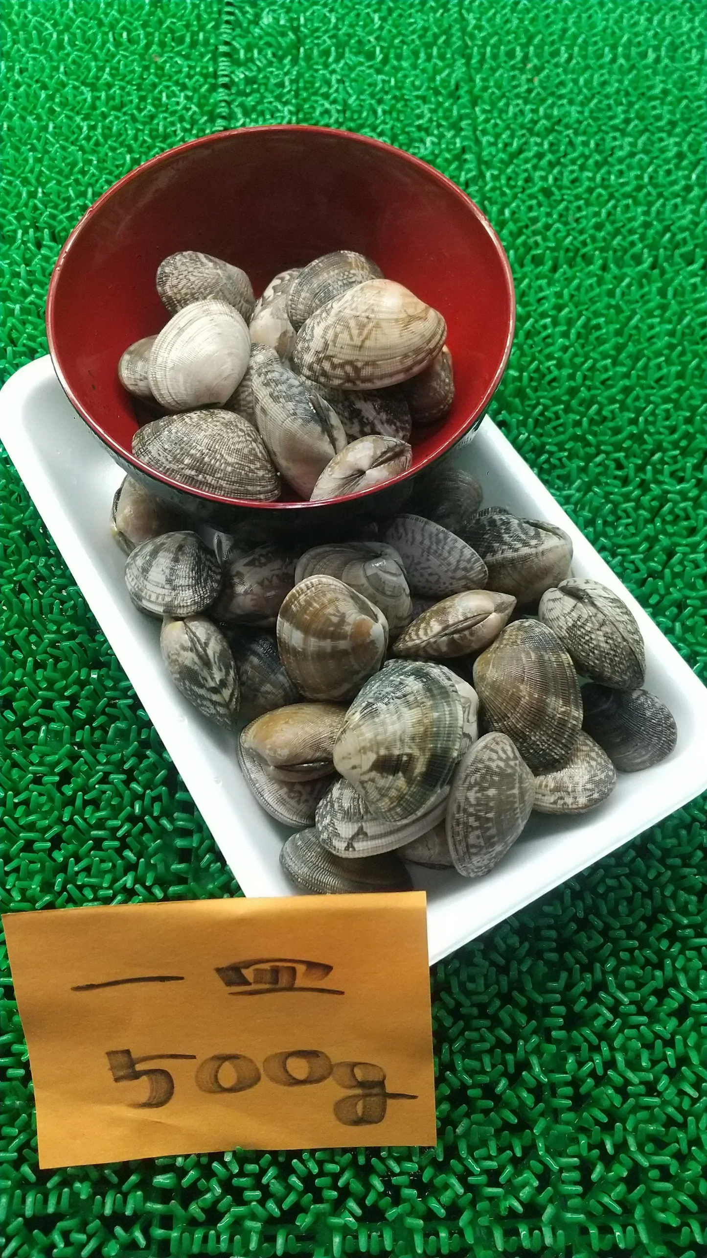【水産仲卸直送】活きの良い殻付き生アサリをたっぷり２５００グラム！冷凍保存もできます！！！