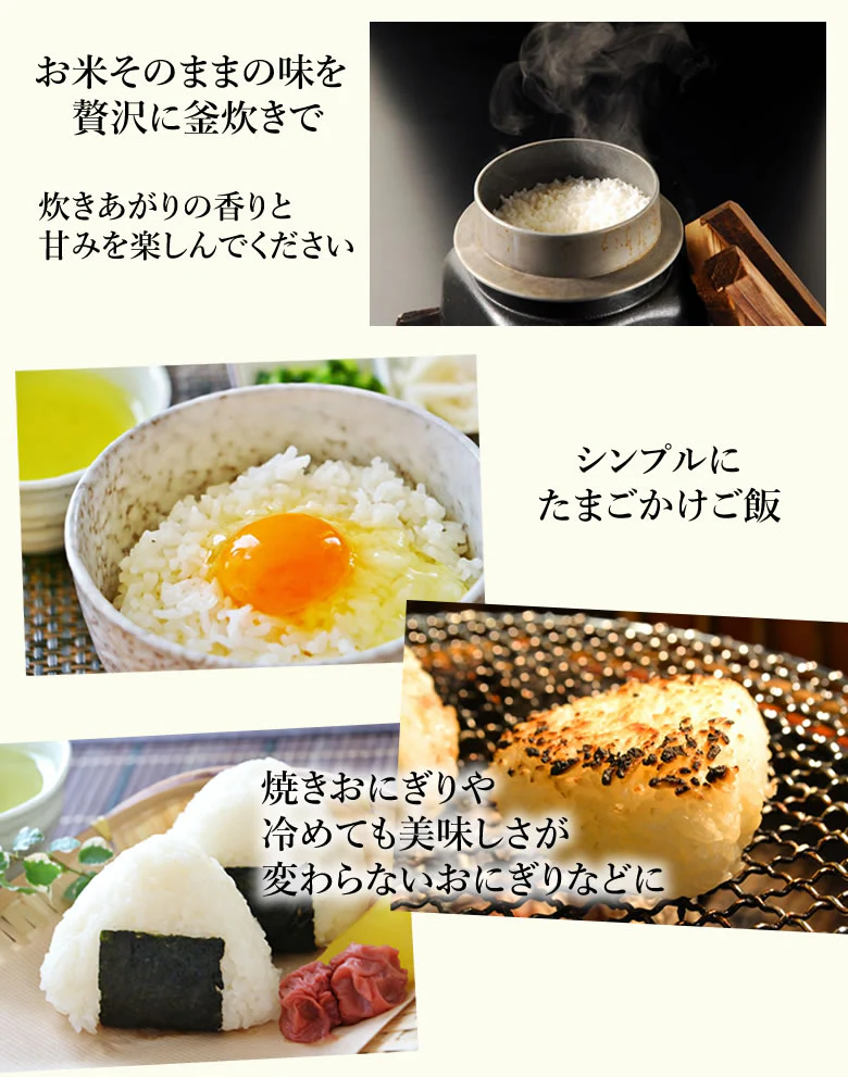 くまさんの輝き 米 送料無料 2kg 令和5年産 熊本県産 お米 白米 玄米 コシヒカリ ヒノヒカリ 森のくまさん