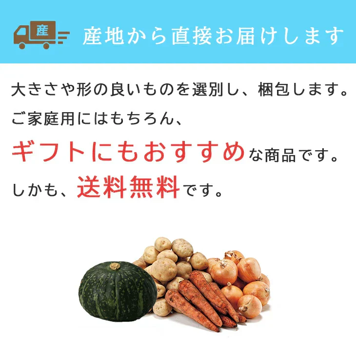 【終了】【10月中旬より順次出荷予定】北海道産 大地の恵み5種セット 9kg　男爵・キタアカリ・玉ねぎ・人参(2L～M混)/各2kg、かぼちゃ(1.5kg以上)/1個