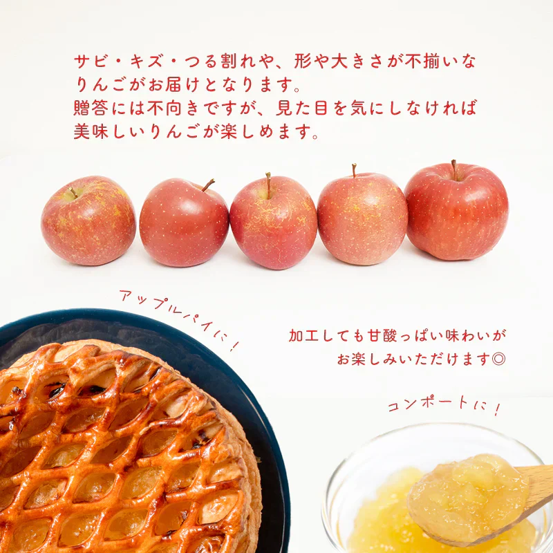 【ご予約順に発送中！】 ＼岩渕さんちの／ 青森県産 訳あり サンふじ ご家庭用 約10kg 林檎 りんご リンゴ 訳アリ 家庭用 青森 青森産 ふじ