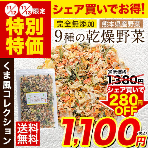 【熊本コレクション】乾燥野菜 9種 の 国産 野菜 完全無添加 100g ドライベジ エアドライ 健康食品 熊本県産 3-7営業日以内に出荷予定(土日祝除く)