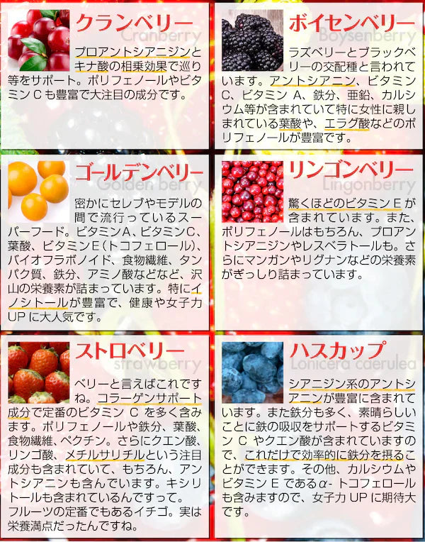 【大容量★約6ヶ月分】healthylife ベリーベリー【アントシアニン×ルテイン×ビタミンA 視力 スマホ パソコン 疲れ目 ドライアイ 夜間視力 高品質10種ベリーエキス配合】約６ヶ月分 大容量360粒 マキベリー ビルベリー ブルーベリー アサイーベリー アイ 目 サプリメント サプリ マリーゴールド ルテイン クランベリー ゴールデンベリー ルテイン おすすめ 人気 ランキング 効果 強力 最強 通販 日本製 国産 健康サプリ 健康食品