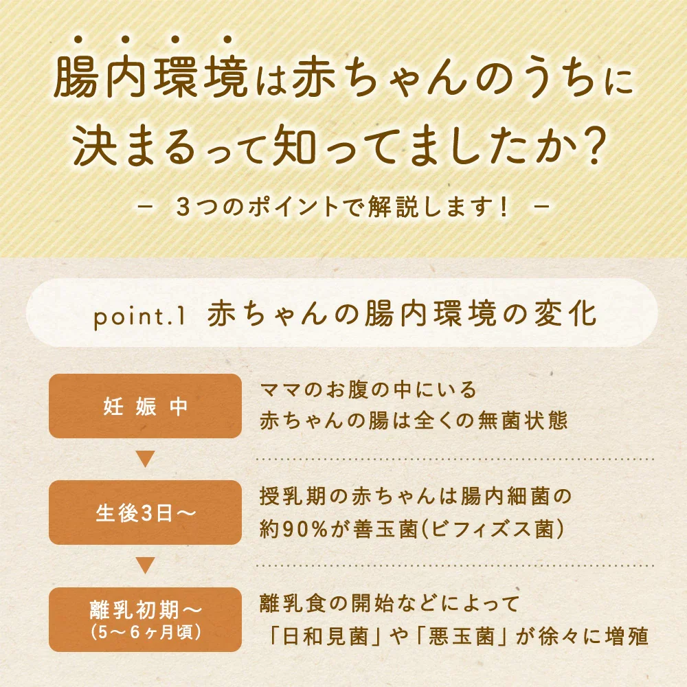 【賞味期限切れ】はぐたす　納豆パウダー　離乳食　150g (賞味期限：2023年6月05日)　ドッグフード　無添加　国産