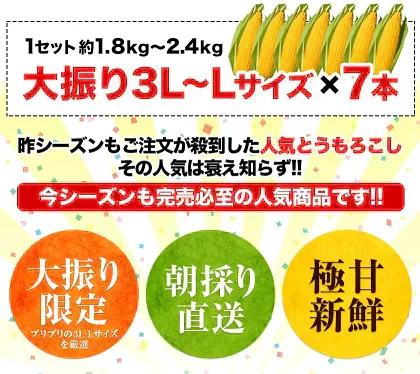 【TVで紹介】とうもろこし 卯野農場 すごあまこーん 12本入り 【3L~Lサイズ / 約3.6kg-4.8kg前後】  朝採り スイートコーン 《7-14営業日以内に発送予定（土日祝除く）》