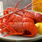 伊勢海老 千葉県産 外房イセエビ 特大サイズ600g×1尾 刺身 冷凍 伊勢エビ 伊勢えび えび エビ 海鮮 魚介 プリプリ 濃厚 グルメ 贈り物 ［送料無料］ 母の日 プレゼント ギフト  母の日思いの 健康 実用的 父の日 子供 孫