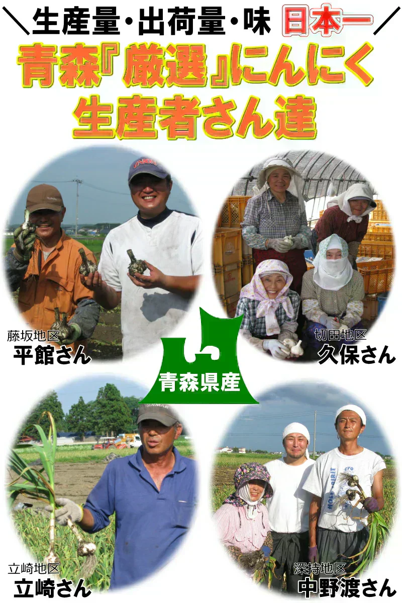 青森県産にんにく 1㎏ 訳あり C品 Mサイズ以上大玉混合 福地ホワイト六片種