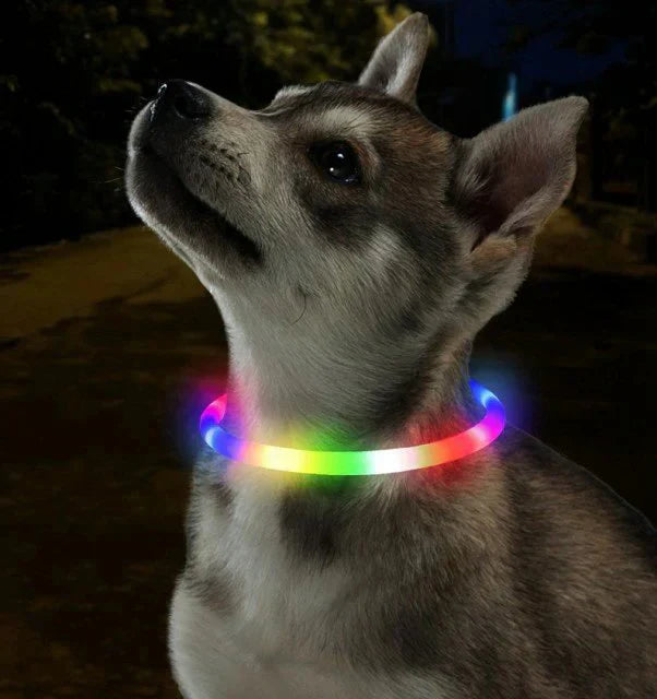 当日発送★光る首輪 犬用 レインボー 発光首輪 充電式 usb充電式 装着簡単 柔らかい 軽量 サイズ調整可能 ペット 犬 猫 視認性 4モード w494J(七彩)
