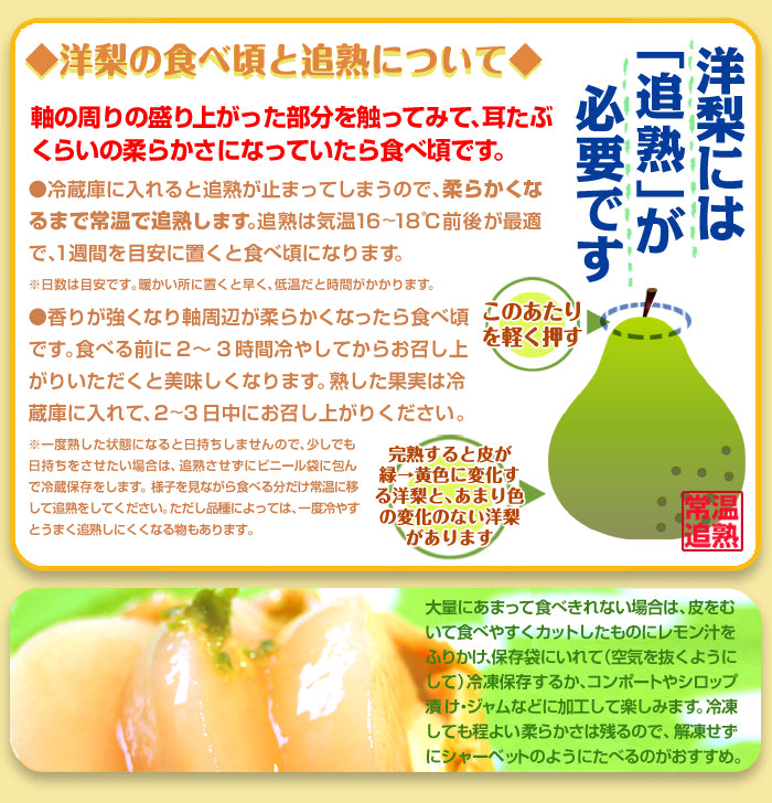 洋梨 ラ・フランス 5kg 山形産 フルーティーに香り立つ とろける甘さ ラフランス （発送予定:10月下旬より）