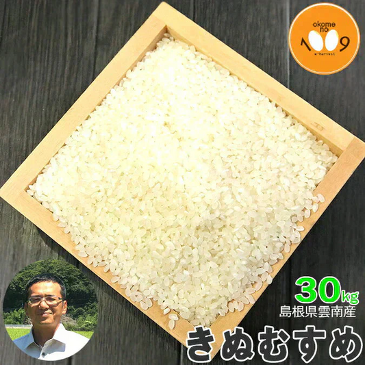 米 島根県雲南産 きぬむすめ 玄米 30kg 令和7年産 石原公夫