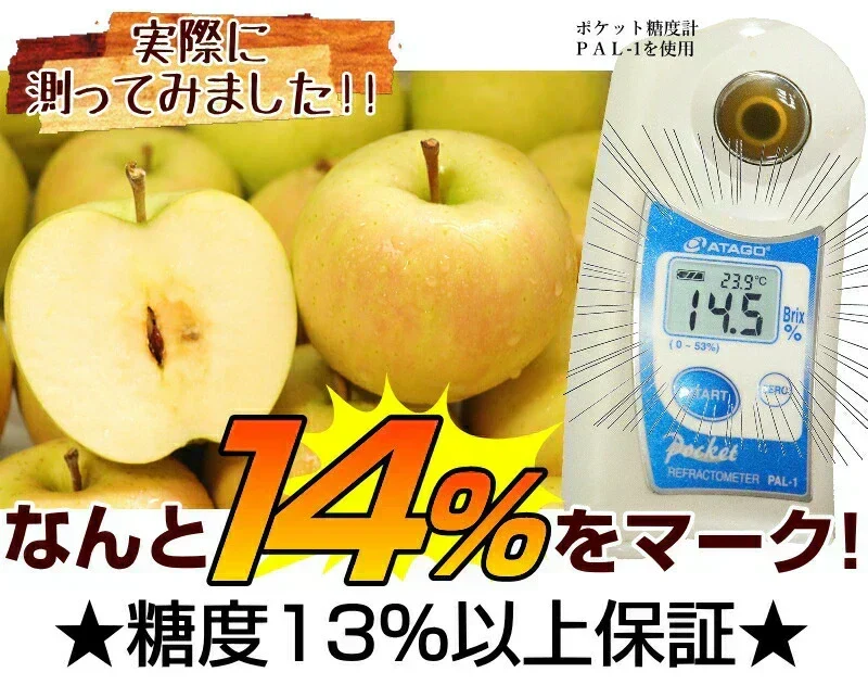 10月9日～発送！青森県産 りんご トキ 5kg箱 家庭用/訳あり ★トキ 家訳 5kg箱