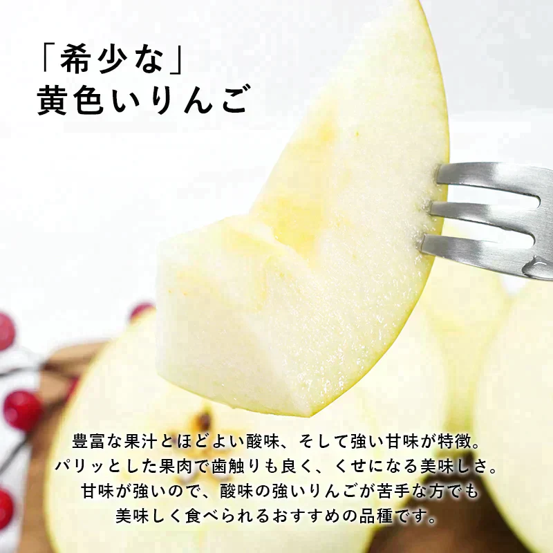 【ただいま発送中！】青森県産 訳あり ぐんま名月 約10kg※11月中旬頃からご予約順に発送予定※家庭用 青森 りんご 林檎 群馬名月 果物 フルーツ 送料無料 ks