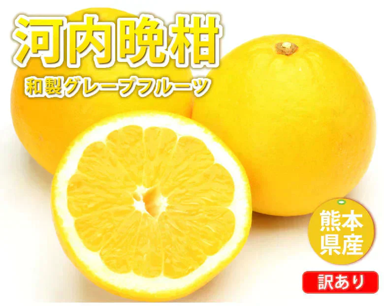 河内晩柑 みかん 送料無料 訳あり 5kg 箱込 (内容量4kg+不良果補償分500g)  S～3L お取り寄せ 和製グレープフルーツ 晩柑 熊本県産 美生柑 フルーツ