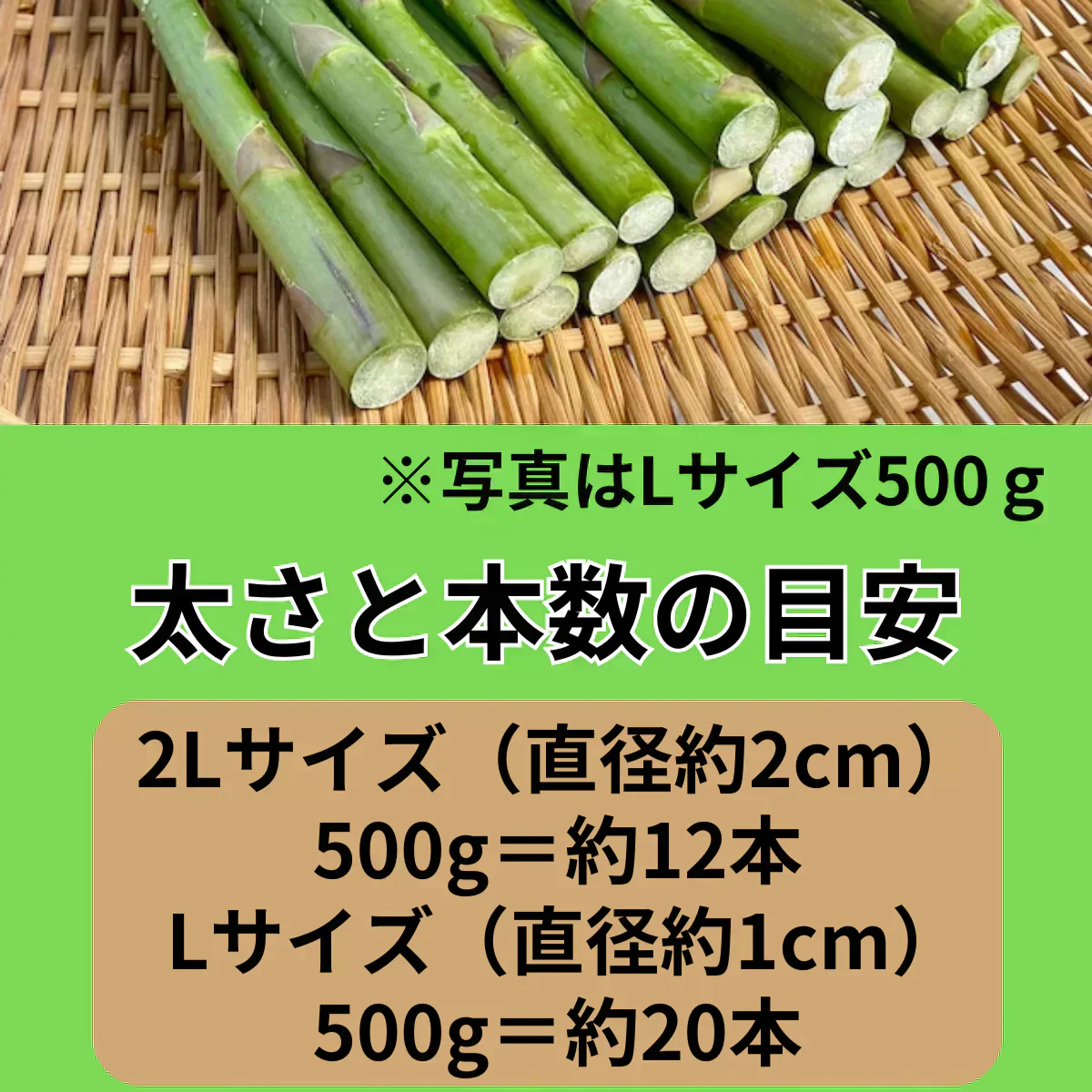 500g【朝採順次発送中】北海道産アスパラガス500g グリーンアスパラ アスパラ