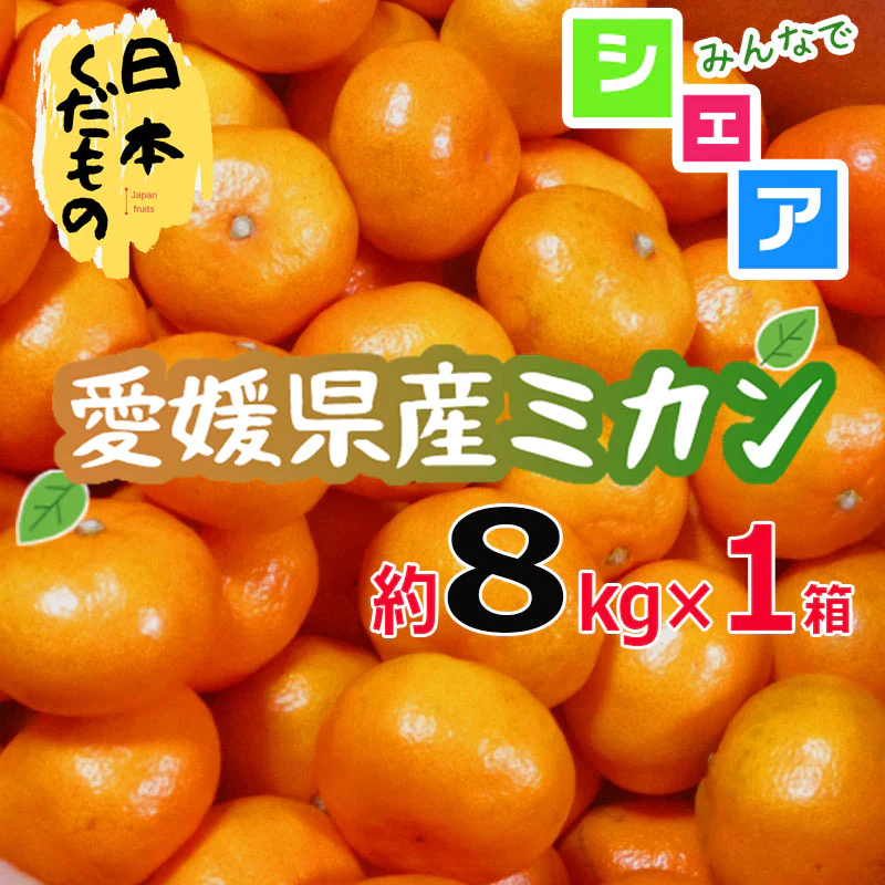 愛媛県産 みかん 8kg×1箱 SMサイズ中心 訳あり家庭用 柑橘