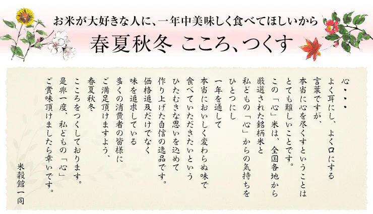 【おためし・普段使いにも】小分けで便利！米 無洗米 送料無料 九州産「心」 4kg(2kg×2)令和5年 九州産