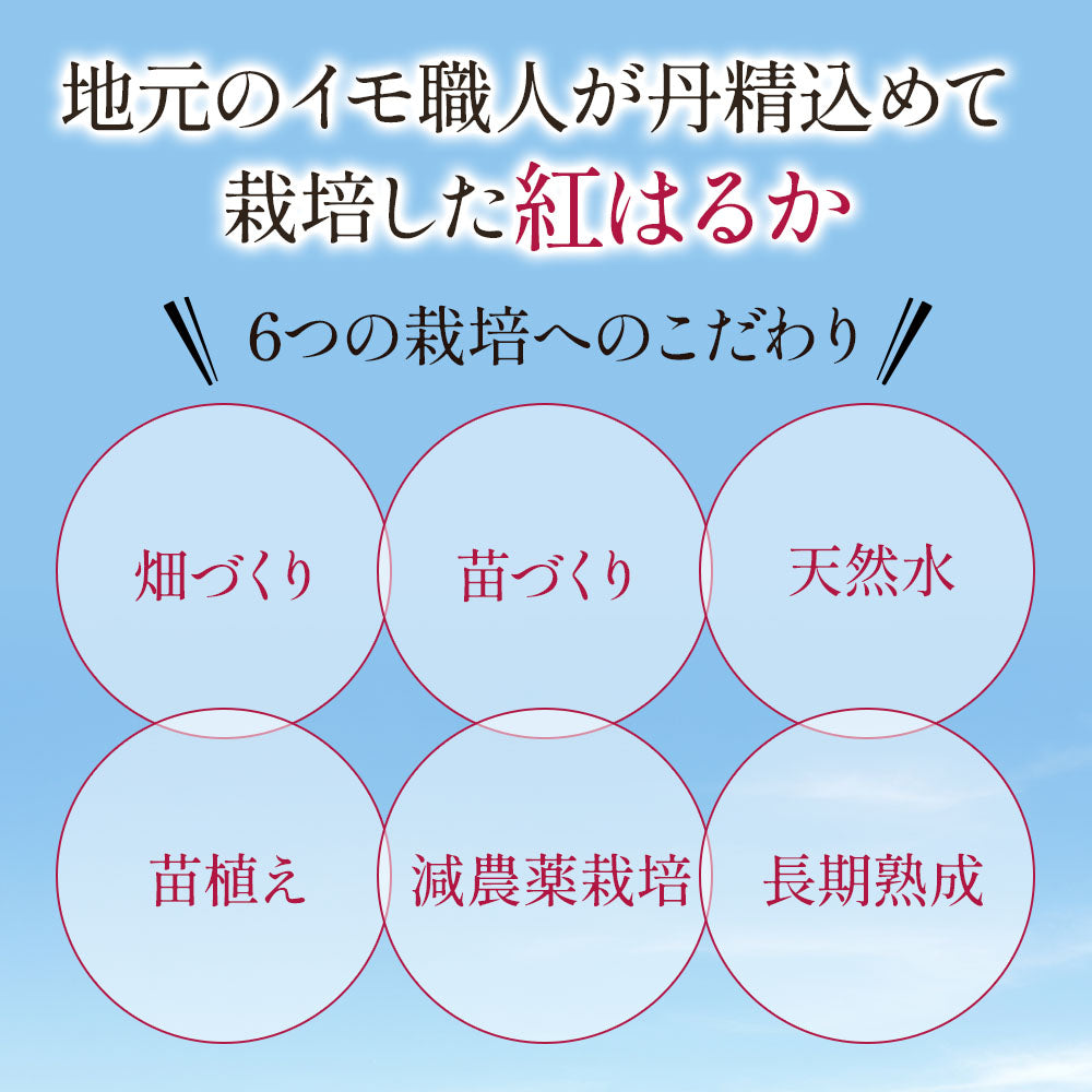 焼き芋 さつまいも 紅はるか 1kg サツマイモ 冷凍焼き芋 焼きいも 産地直送 薩摩芋 石焼き芋 芋 いも イモ 南九州産 FJK-003