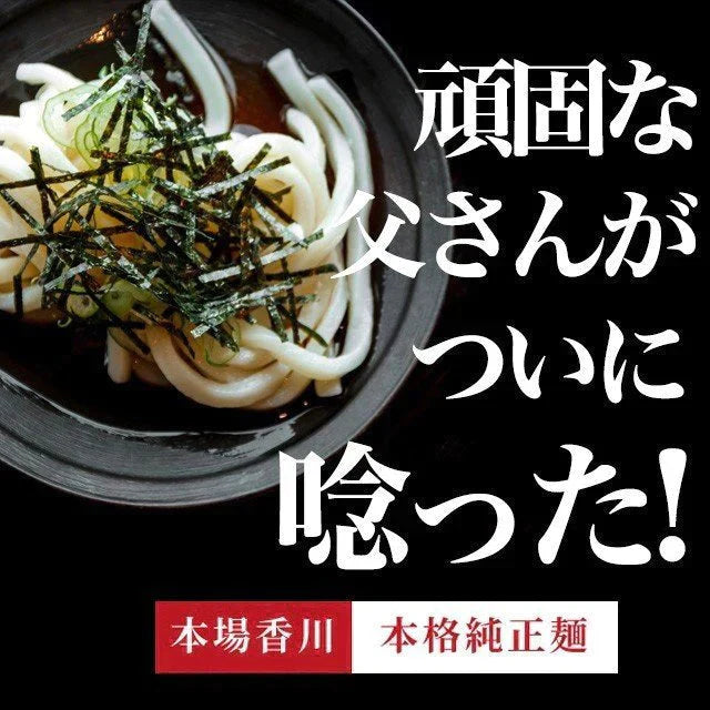 頑固父さんが唸る讃岐生うどん 【普通麺】 9食セット (麺300g×3袋 ) 送料無料 香川県 産地直送 お試し フード おすすめ グルメ食品 人気 ポスト投函 お取り寄せ おつまみ【ご新規さん限定商品】