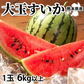 すいか 訳あり 大玉すいか 送料無料 6kg以上(6～10kg) 1玉 L〜3L 熊本すいか お取り寄せ スイカ 熊本県産 すいか 西瓜 フルーツ
