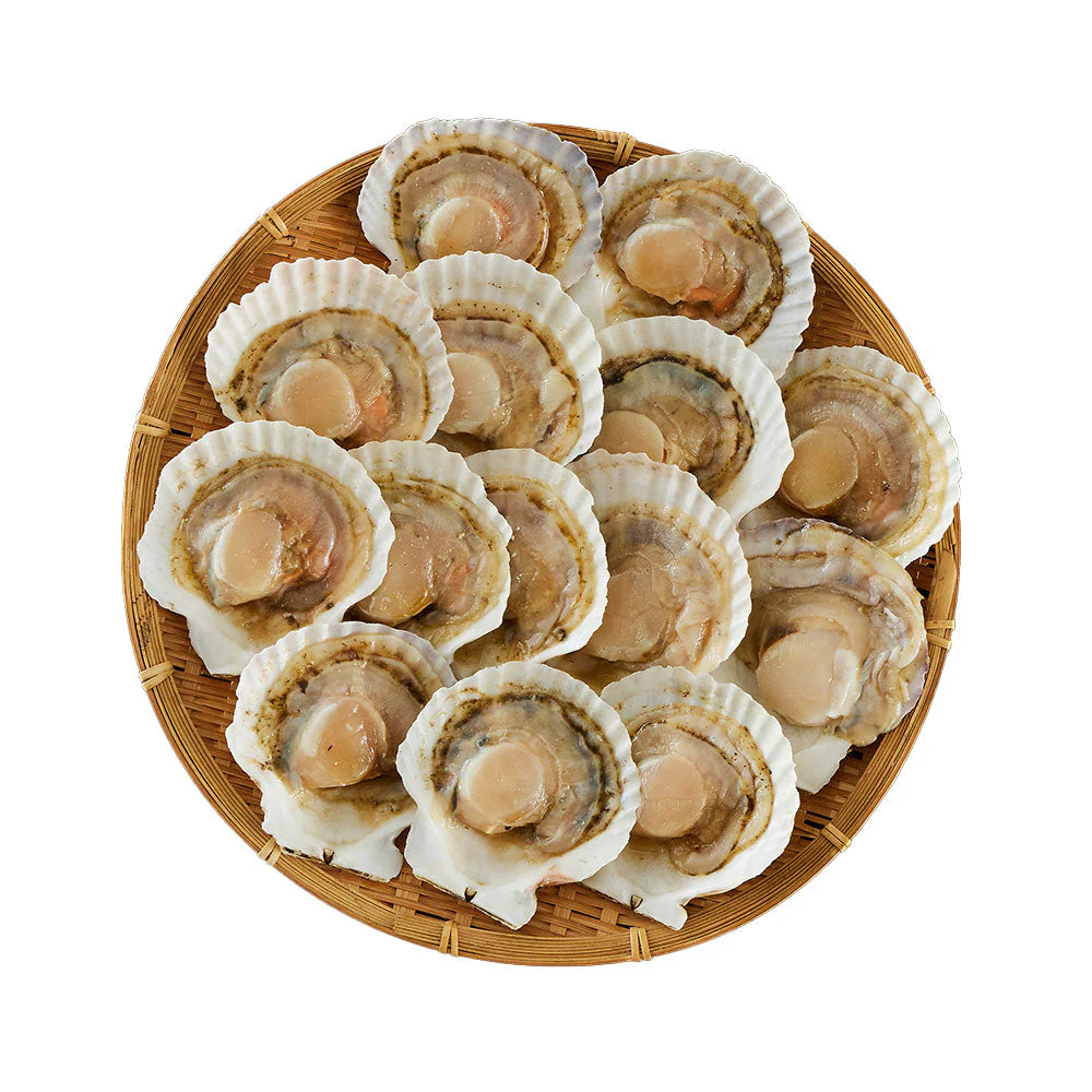 北海道産 帆立片貝 14枚(75g×14) 貝類 ホタテ【送料込み】【二重包装不可】【お届け不可地域：離島】