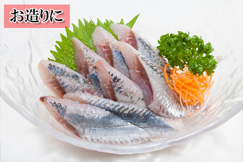 北海道産 トロ 金華 真鰯 6パック 1350g【楽天ランキング1位】超速冷凍 刺身 DHA EPA 豊富 フィーレ生食用 さしみ 海鮮丼 握り寿司 青魚 ダイエット イワシ 刺身用 いわし 寿司ネタ お寿司 売れ筋 お取り寄せ お取り寄せグルメ 海鮮丼 冷凍