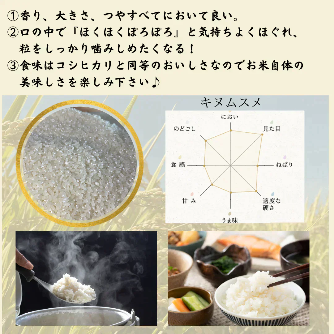 農薬不使用！愛媛の自然が育んだきぬむすめ（白米）20Kg　令和7年度　新米　きぬむすめ　愛媛県産　お米・新米・無農薬