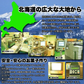 北海道十勝産小豆を100%使用!!やわらか!あんころもち24個(12個入×2袋)/ネコポス