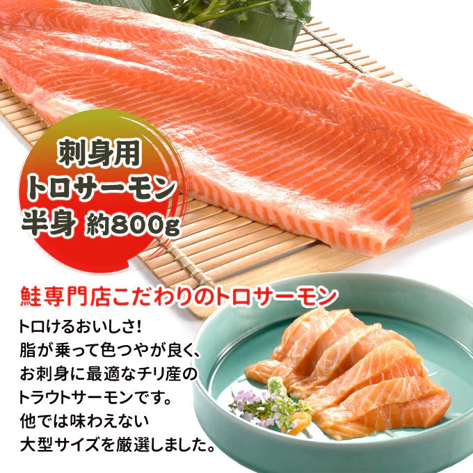 刺身用トロサーモン 半身約800g 送料無料