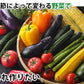 野菜セット 九州産 10～12品目 送料無料 お取り寄せ 80サイズ箱 詰め合わせ 【5～10営業日以内出荷(土日祝日除く)】やさい 産地直送 野菜 季節 旬 トマト きゅうり キャベツ かぼちゃ 小松菜 ほうれん草 人参 じゃがいも 玉ねぎ ごぼう ピーマン