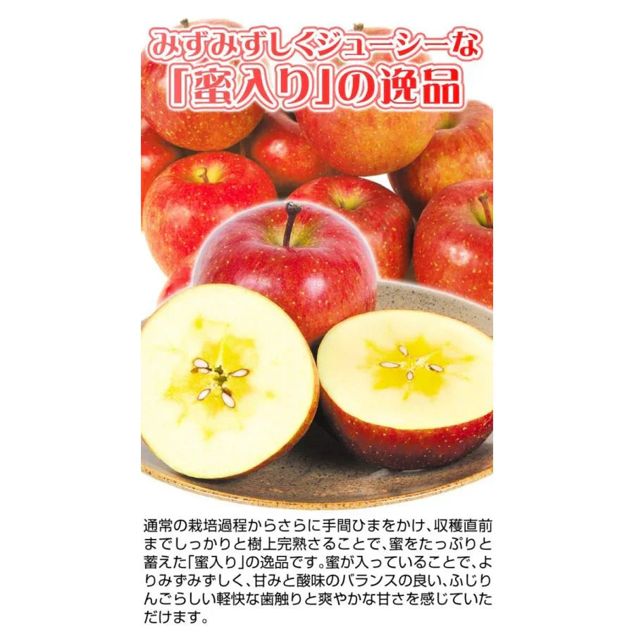 りんご 蜜入りサンふじ 山形産 10kg （発送予定：12月上旬より）