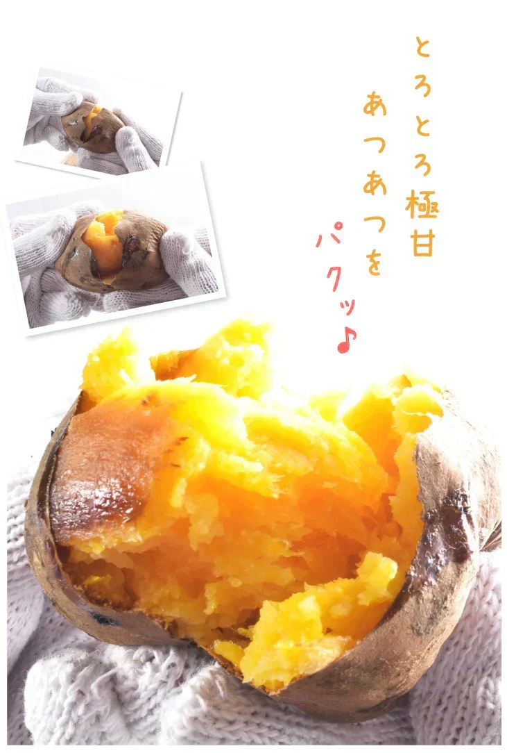 さつまいも 5kg 安納芋 正品 種子島産 送料無料 食品(発送予定:2026年11月中旬より)