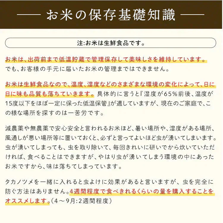 【カートアップNG】＼新米！／【令和6年産】米  ひとめぼれ 5kg 送料無料
