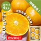 佐賀県産 にじゅうまる ４玉 ２Lサイズ 数量限定 新品種 希少柑橘 ◎ ギフト 贈答 みかん 柑橘 送料込み
