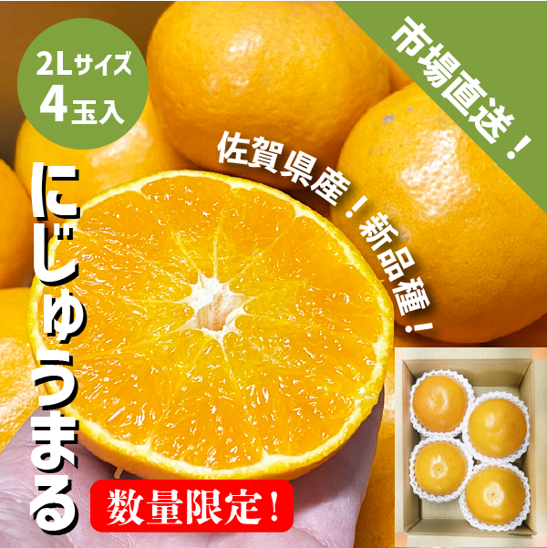 佐賀県産 にじゅうまる ４玉 ２Lサイズ 数量限定 新品種 希少柑橘 ◎ ギフト 贈答 みかん 柑橘 送料込み