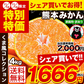 【熊本コレクション】熊本みかん 送料無料 訳あり みかん4kg 規格外 大玉 小玉 不選別 家庭用 柑橘 熊本県産 くまもと風土 《11月上旬-11月下旬頃より発送予定》