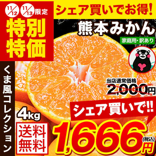【熊本コレクション】熊本みかん 送料無料 訳あり みかん4kg 規格外 大玉 小玉 不選別 家庭用 柑橘 熊本県産 くまもと風土 《11月上旬-11月下旬頃より発送予定》