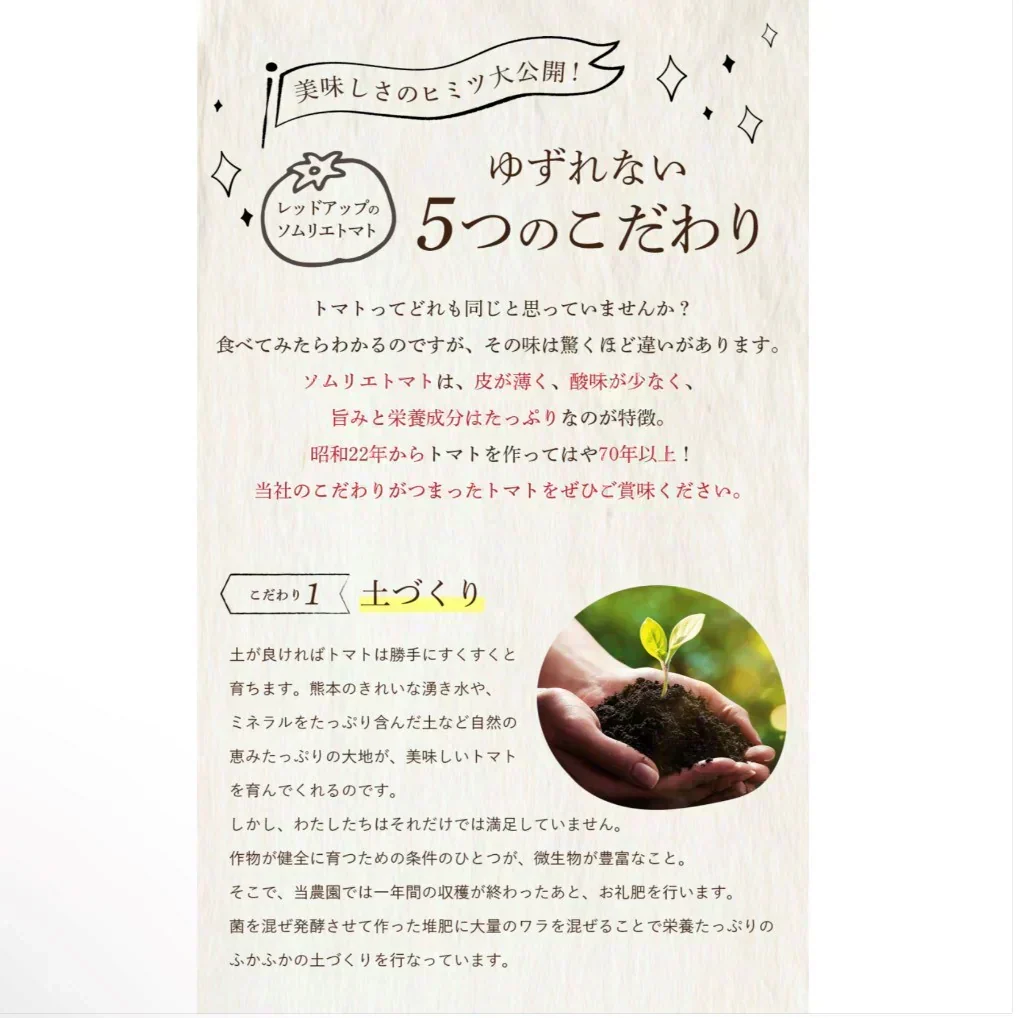 予約【2027年2月前後～4月30日までに順次発送】＼特別栽培農産物／訳ありソムリエトマト　600g（最低保証容量400g以上保証）【カウシェファーム収穫対象商品】