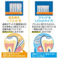 歯ブラシ Ci702 極薄ヘッド Mふつう 50本入り