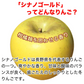 【2023年産予約開始！数量限定！】シナノゴールド 加工用 約2.5kg(7-16玉) パリっと歯ごたえジューシー 10月下旬頃発送開始予定 #YAG0K025