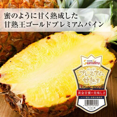 【一時休売】甘熟王ゴールドプレミアムパイン 2玉